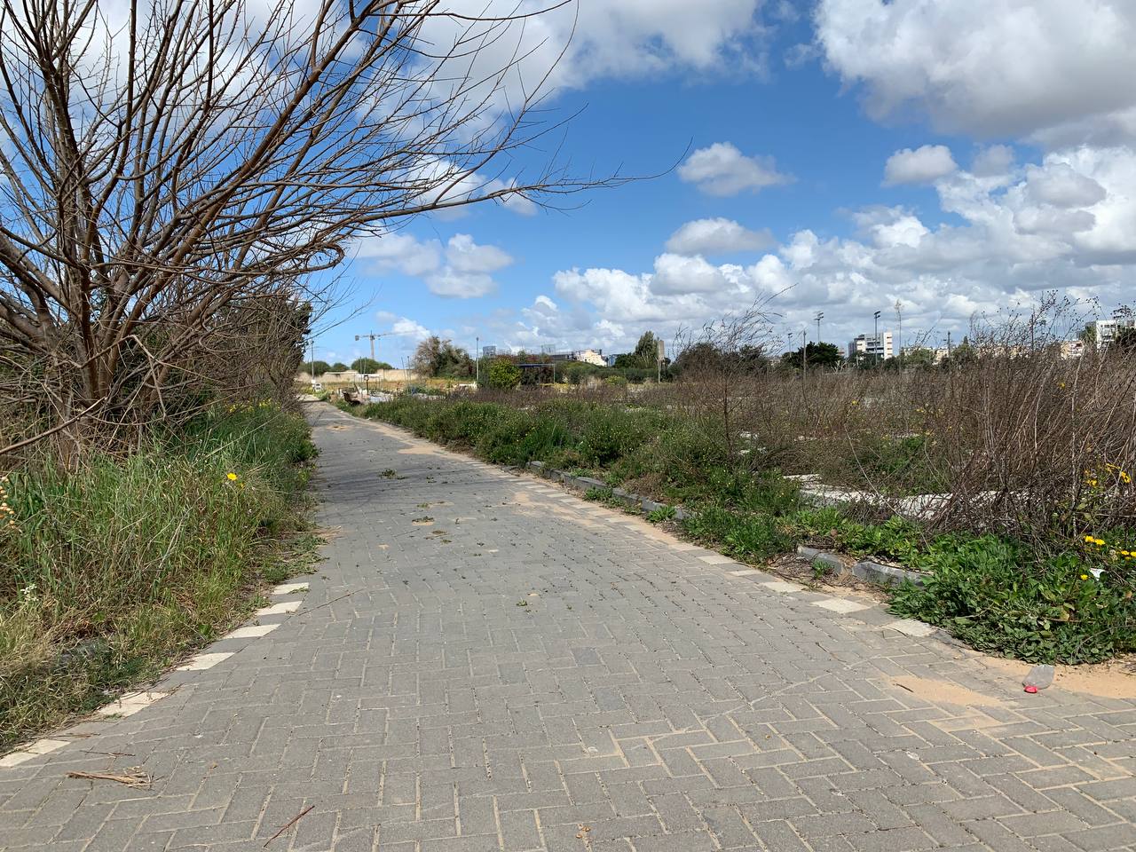 photo1678276195 (21).jpeg